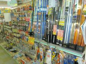P7101335_medium
