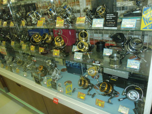 P7101336_medium