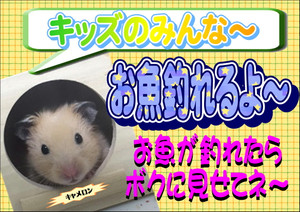 Photo Photo