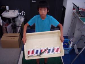 P7250743_small