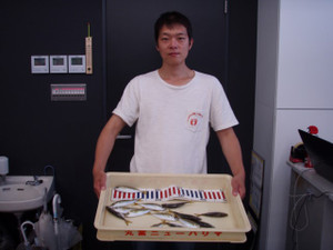 P8060763_small