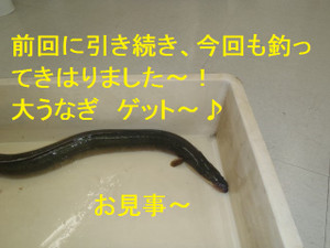 P8066464_small