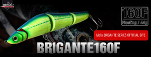 Banner01_medium