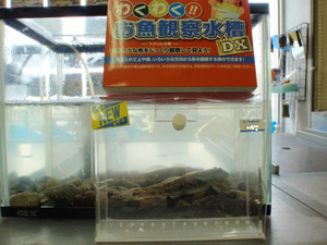 P9051644_medium