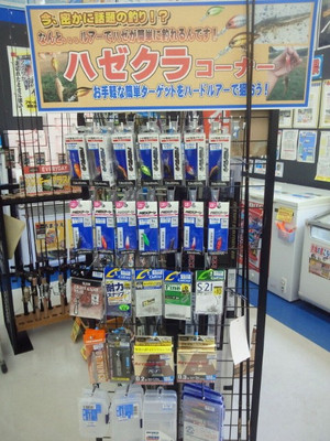 Nec_0348_small Nec_0348_small