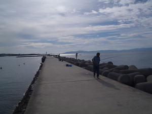 099_medium