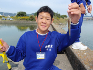 014_small