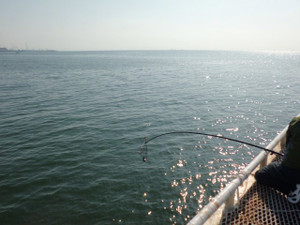 Cimg0192_small