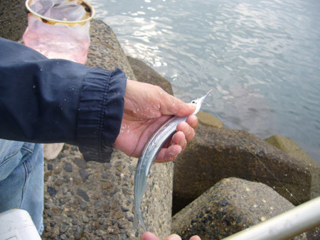 009_medium 009_medium
