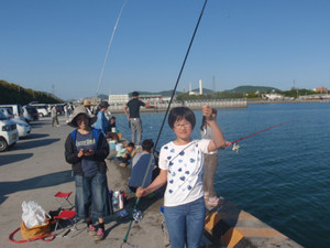P5052311_medium