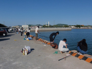P5052316_medium_2