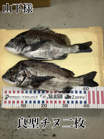 20b45bed74784addbc8d9c980047f4c8