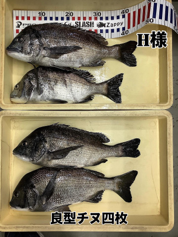 C82755a531ac4d9992cf08923f00602f