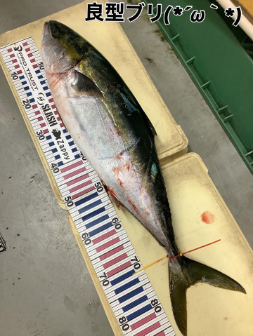 8442404586ba44feafdec9987c1bd4b3