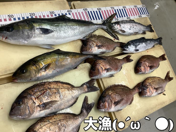 91b69fdc0a6d48c38c8d9fb70c63a894