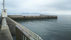 Sdsc_0112
