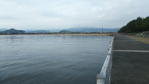 Sdsc_0113