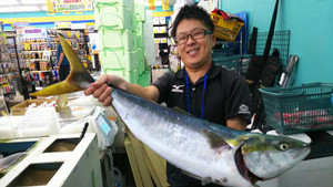 Sdsc_0113