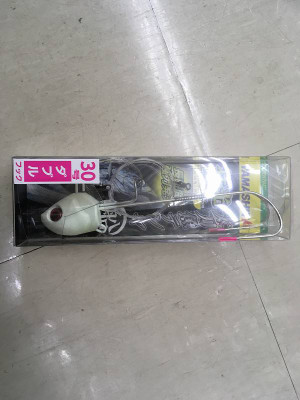 Simg_1250_3