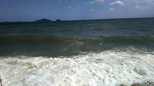 Photo_15