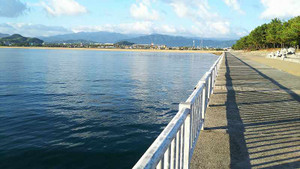 Sdsc_0140