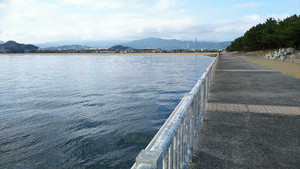 Photo_5