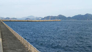 Sdsc_0142