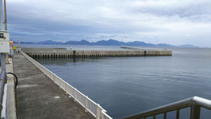 Sdsc_0140