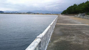 Sdsc_0141