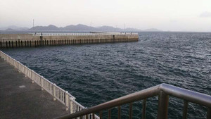 Sdsc_0146