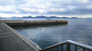 Sdsc_0244