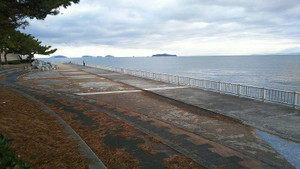 Sdsc_0245