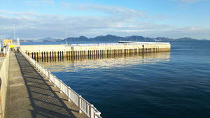 Sdsc_0310