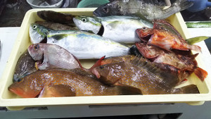 Photo_4