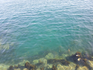Photo_35