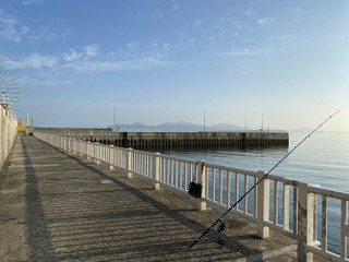Photo_4