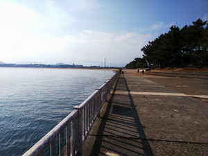 Simg_4254_2