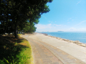 Sdsc_1165