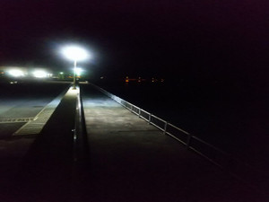 Sdsc_2098