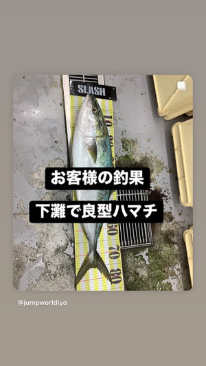33eadf84065246f29d8f68c4387b03e0
