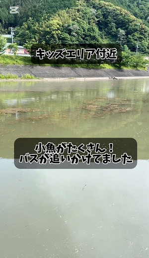 562314632766160965_2