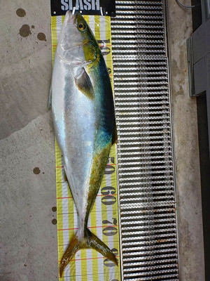 S586508040132362950_4