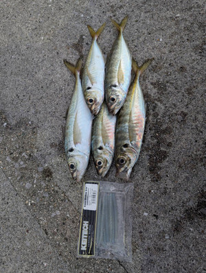 588767482186826103 588767482186826103