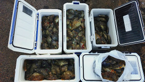 S20251201_150157947 S20251201_150157947