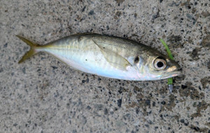 590759398562595191 590759398562595191