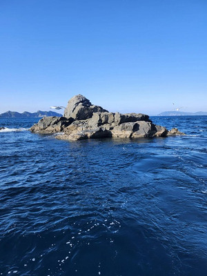 592709949235921441 592709949235921441