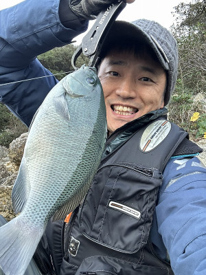 593275464508768512 593275464508768512