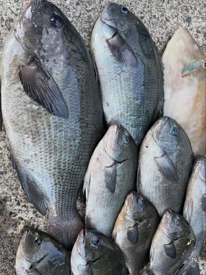 593333081445236958 593333081445236958