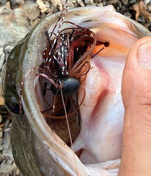 594270734780989611 594270734780989611