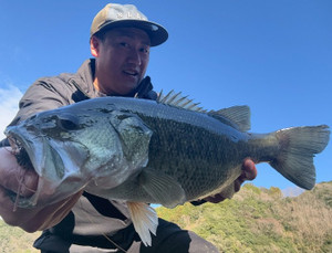 594270736324493330_2 594270736324493330_2